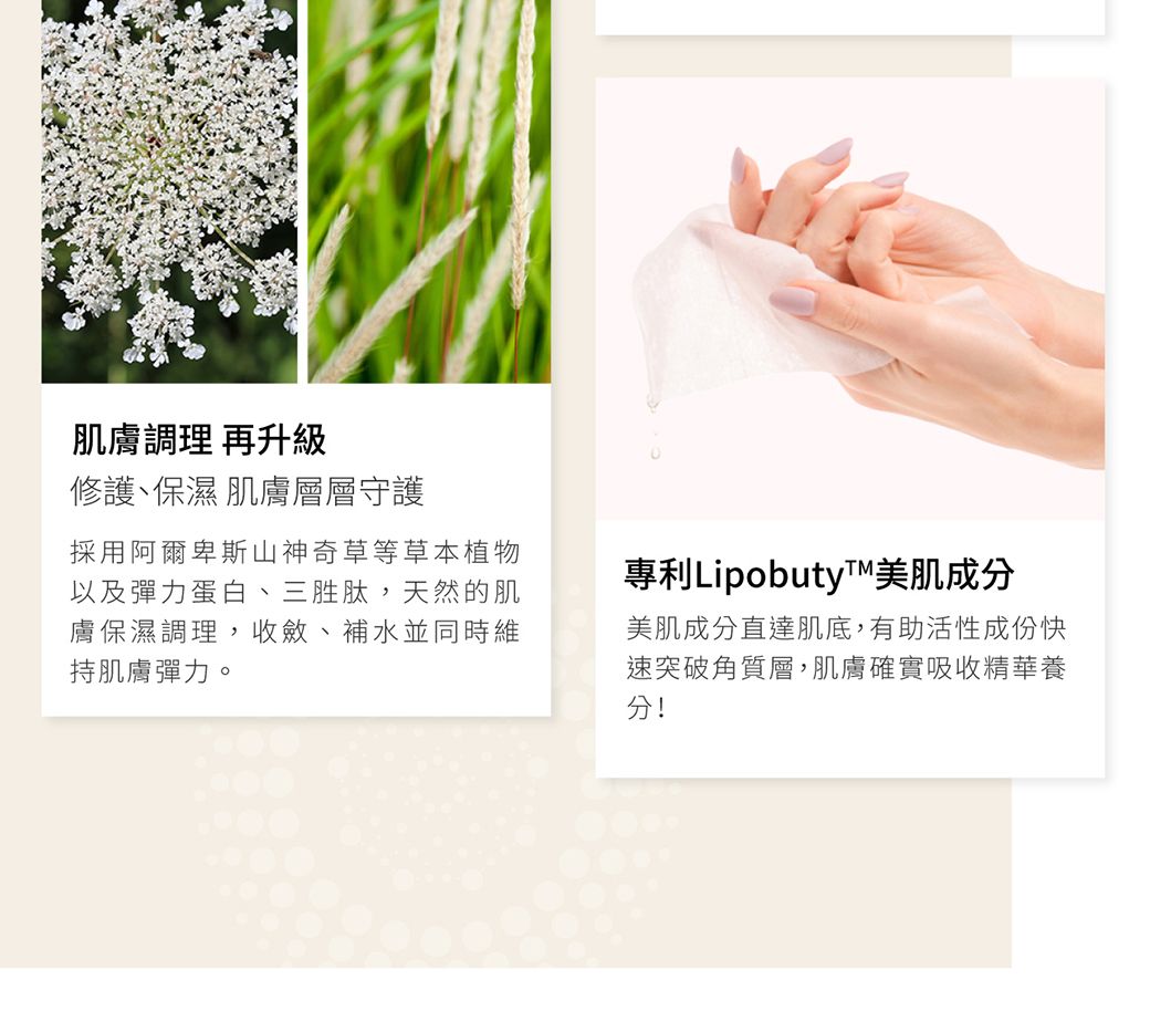 肌膚調理 再升級修護、保濕 肌膚層層守護採用阿爾卑斯山神奇草等草本植物以及彈力蛋白、三胜肽,天然的肌膚保濕調理,收斂、補水並同時維持肌膚彈力。專利Lipobuty™美肌成分美肌成分直達肌底,有助活性成份快速突破角質層,肌膚確實吸收精華養分!