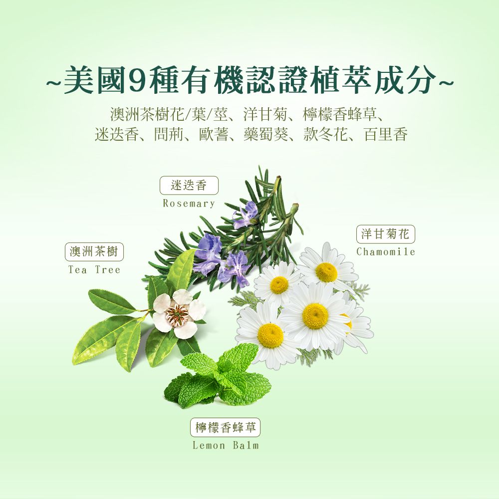 Petal Fresh 沛特斯茶樹控油洗髮精16oz/475ml