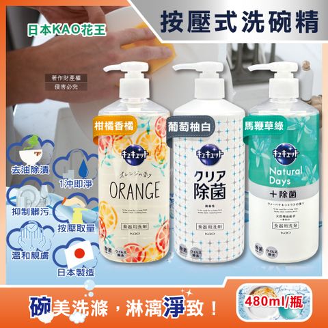 日本KAO-珂珂透CUCUTE按壓式高效濃縮洗碗精480ml/大瓶