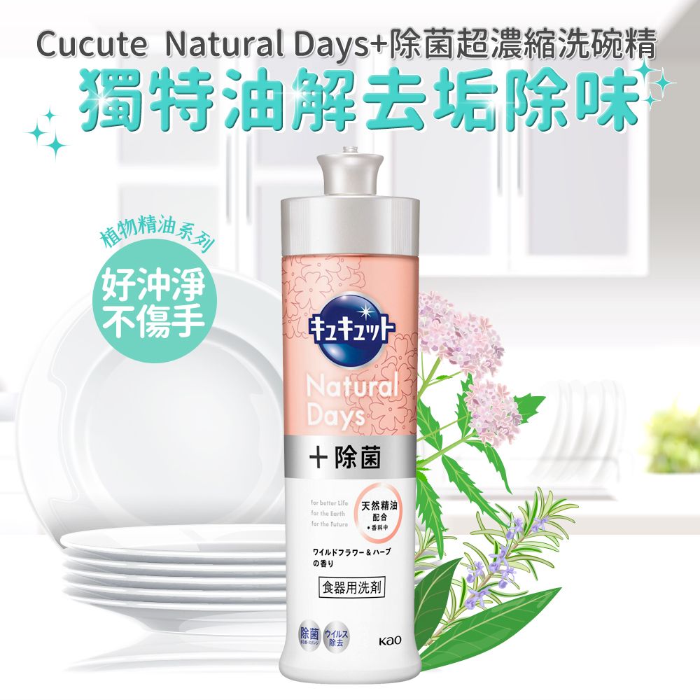 KAO 花王 Cucute 除菌洗碗精240ml-野花&草本