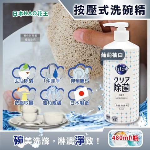 日本KAO-珂珂透CUCUTE按壓式高效濃縮洗碗精-葡萄柚白480ml/大瓶