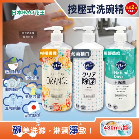 (2瓶)日本KAO-珂珂透CUCUTE按壓式高效濃縮洗碗精480ml/大瓶