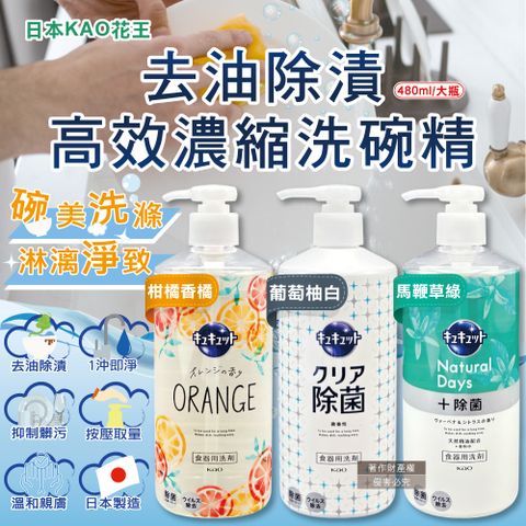 日本KAO-珂珂透CUCUTE按壓式高效濃縮洗碗精480ml/大瓶