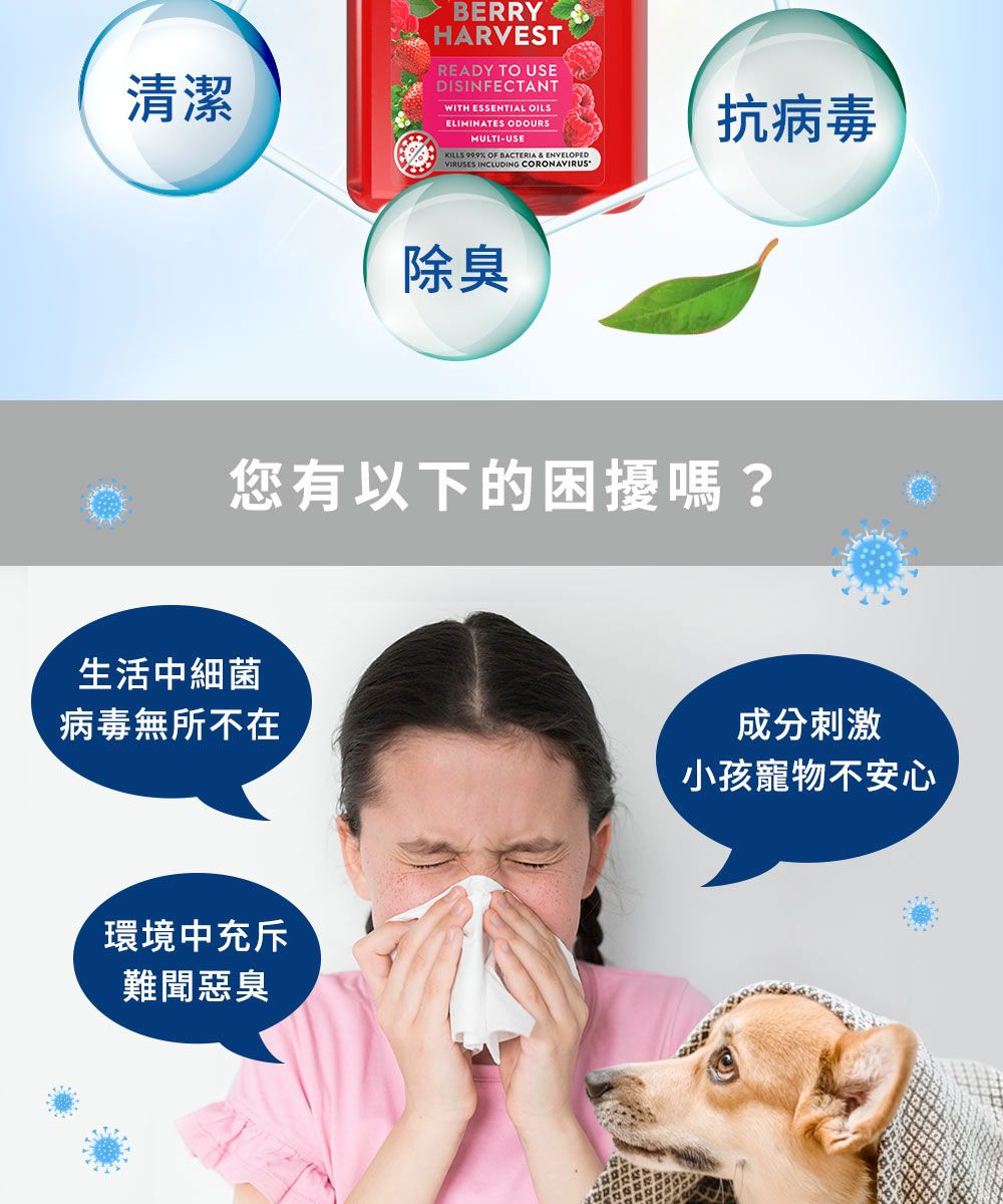 清潔BERRYHARVESTREADY TO USEDISINFECTANTWITH ESSENTIAL OILSELIMINATES ODOURSMULTI-USEKILLS % OF BACTERIA & ENVELOPEDVIRUSES INCLUDING CORONAVIRUS除臭抗病毒您有以下的困擾嗎?生活中細菌病毒無所不在環境中充斥難聞惡臭成分刺激小孩寵物不安心