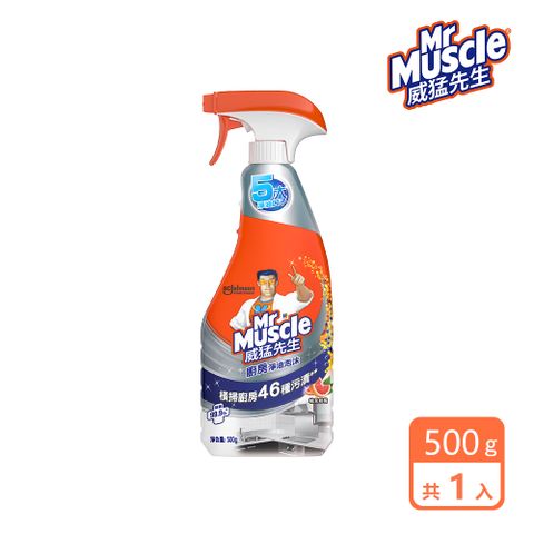 威猛先生 廚房淨油泡沫 噴槍瓶 500g