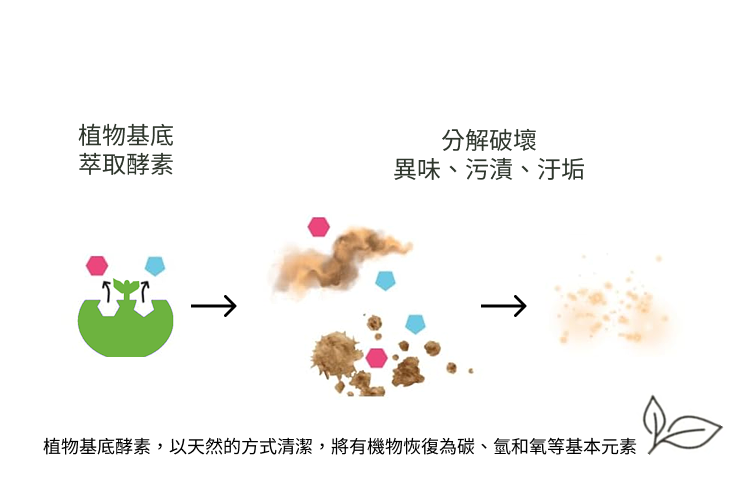 植物基底萃取酵素分解破壞異味、污漬、汙垢植物基底酵素,以天然的方式清潔,將有機物恢復為碳、氫和氧等基本元素