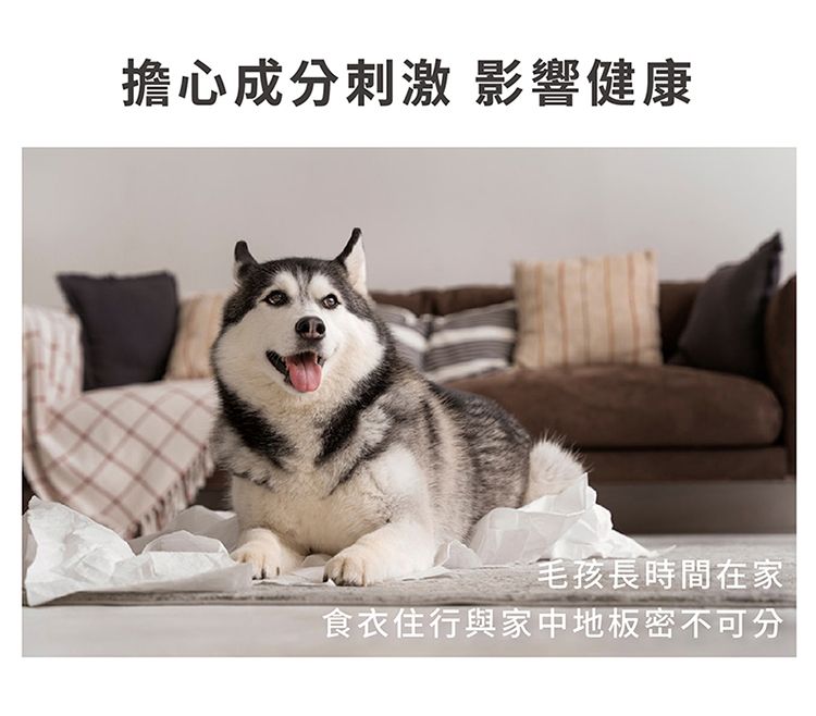 擔心成分刺激 影響健康毛孩長時間在家食衣住行與家中地板密不可分