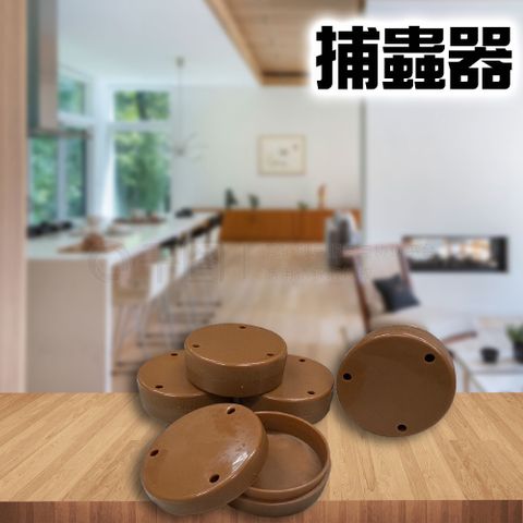 捕蟲器（一組5入）