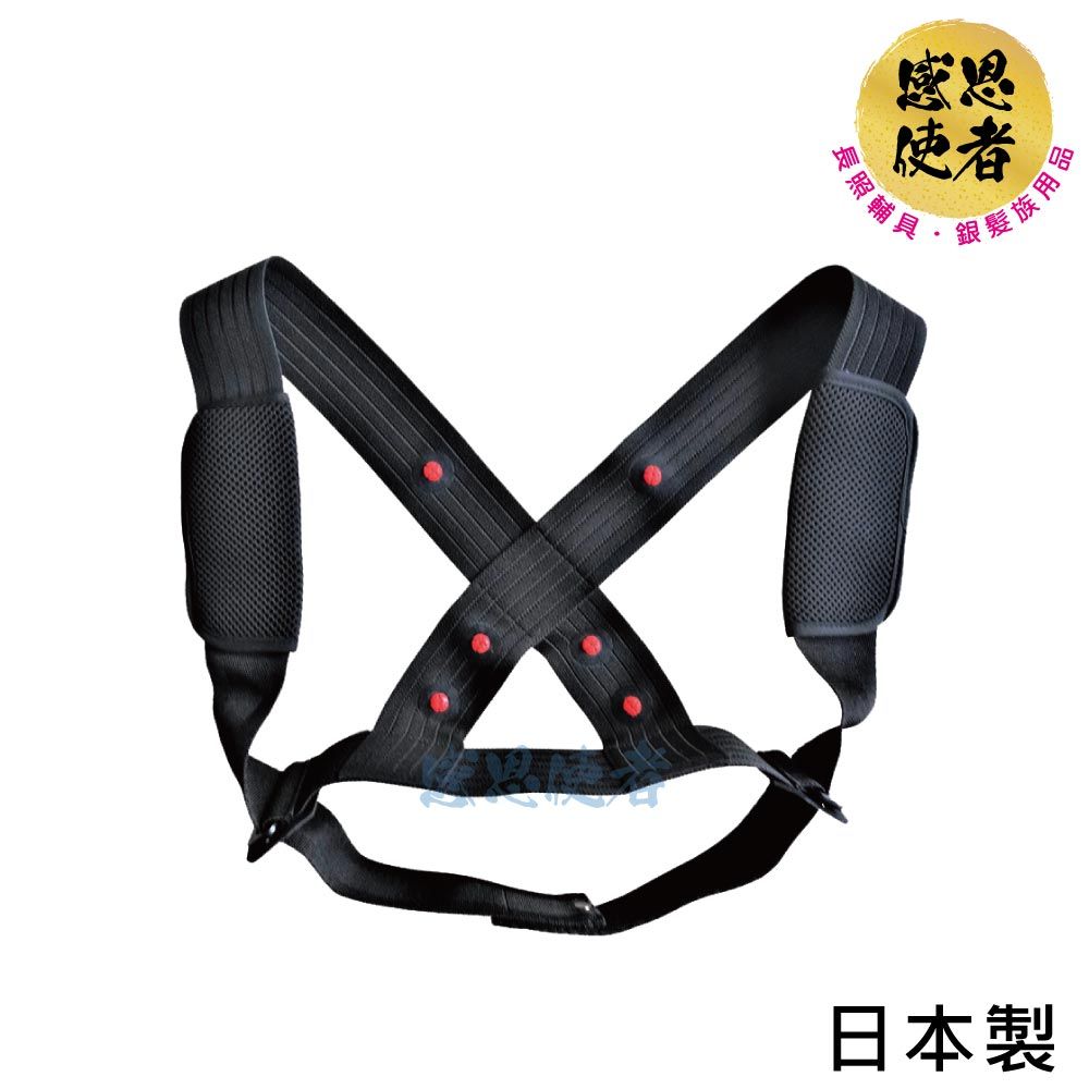 感恩使者 磁石束帶 ACCESS 磁力帶 1件入 ZHJP2106 軀幹護具 日本製