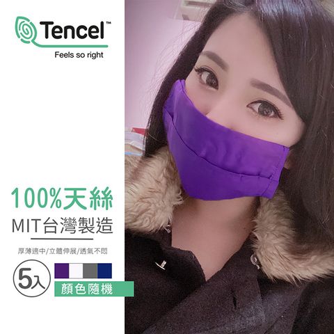 台灣製造100%天絲可水洗口罩保護布套(10入/顏色隨機/口罩收納)