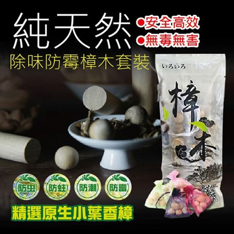 快速到貨純天然除味防霉樟木套裝(4入組)