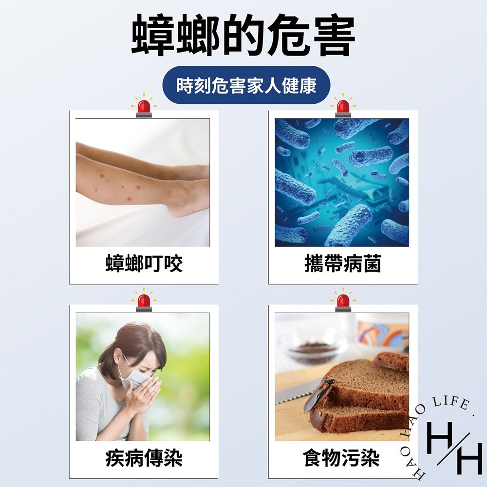 優品 柴語錄-別慌蟑小5片_20包組