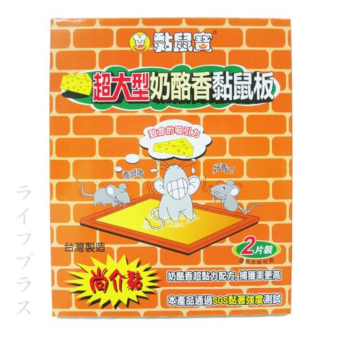 黏鼠寶超大型奶酪香黏鼠板-2片入×50組