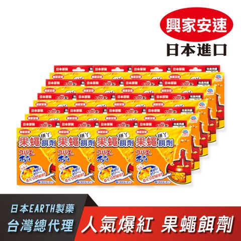 興家安速 果蠅餌劑38g 二十件組