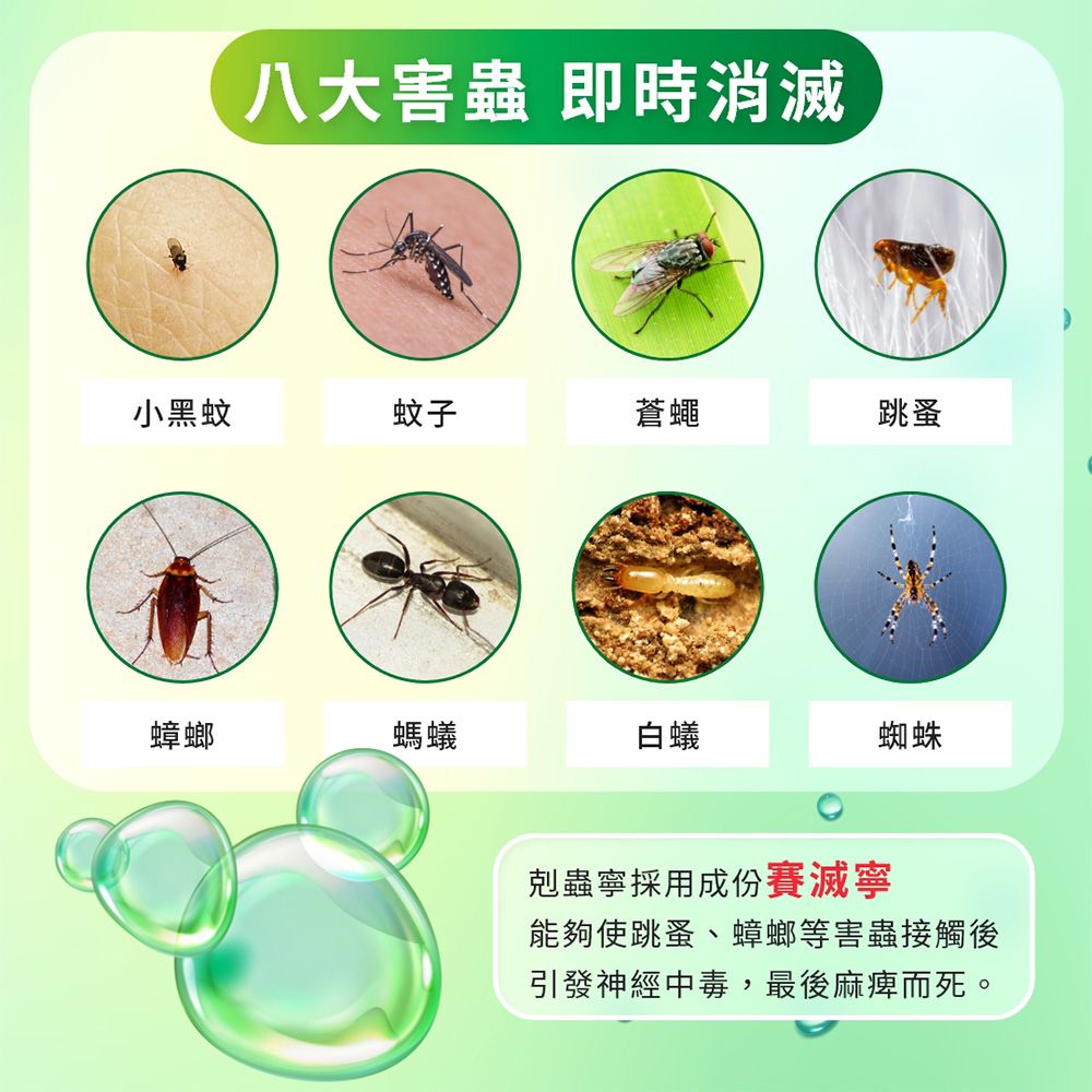 澄朗 【剋蟲寧】殺蟲劑5公升 工廠除蟲/大範圍除蟲/不須稀釋直接使用