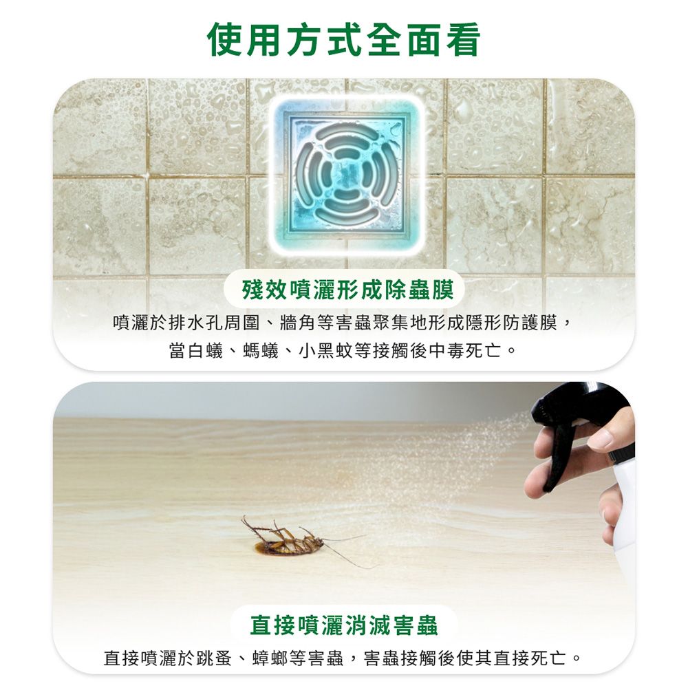 澄朗 【剋蟲寧】殺蟲劑5公升 工廠除蟲/大範圍除蟲/不須稀釋直接使用