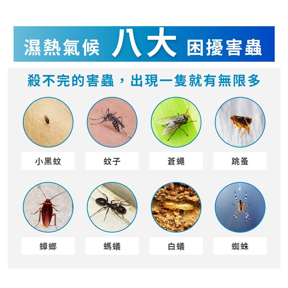 福來朗 水性除蟲噴霧 補充瓶 500ml 殺蟲劑/長效滅蟲/滅蟑/除蟻/除跳蚤/滅蚊/蟑螂藥/螞蟻藥/跳蚤藥