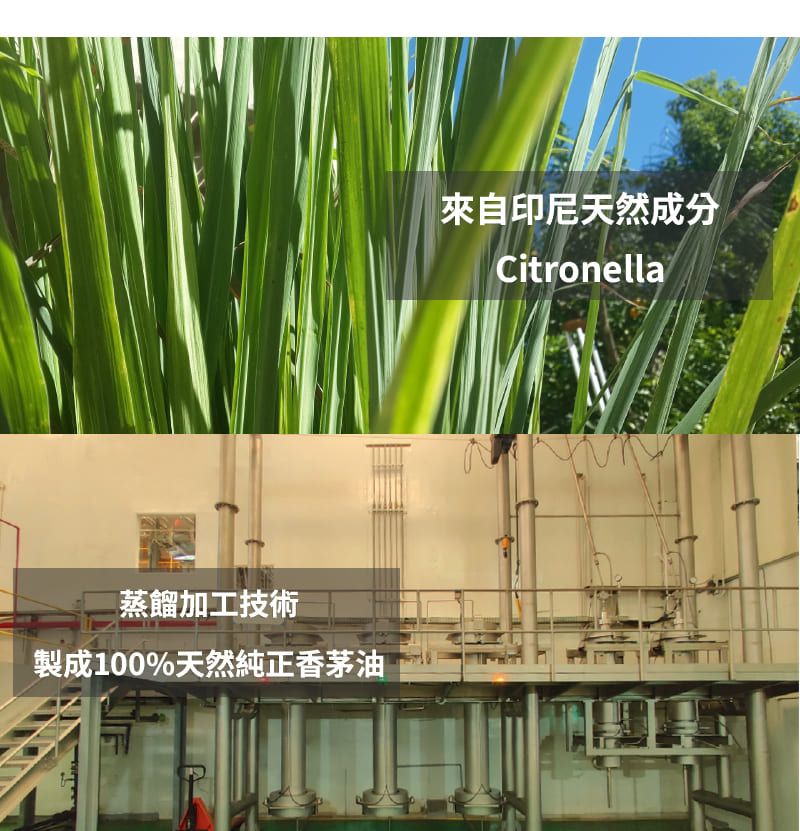 蒸餾加工技術製成100%天然純正香茅油來自印尼天然成分Citronella