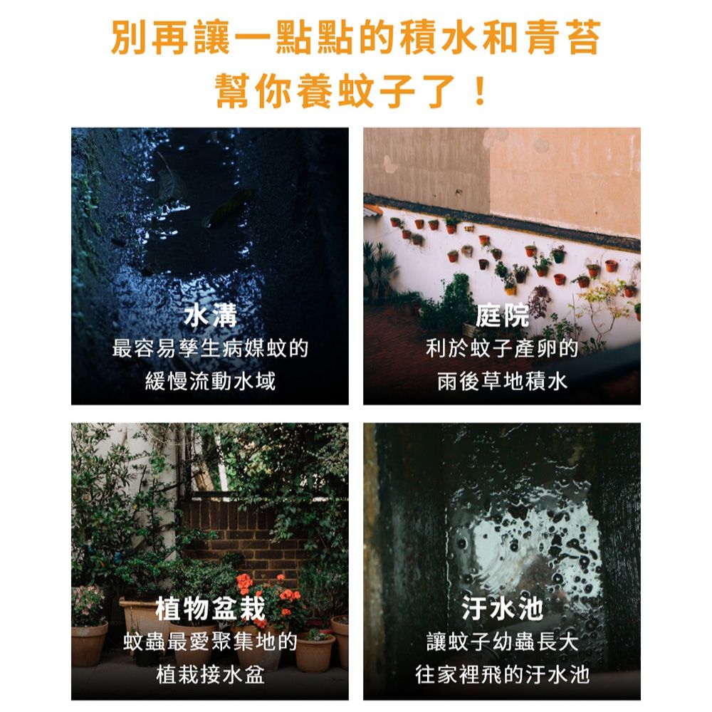 福來朗 滅蚊片劑 10gx15pcs 蚊子幼蟲殺手/孑孓剋星/防治病媒蚊