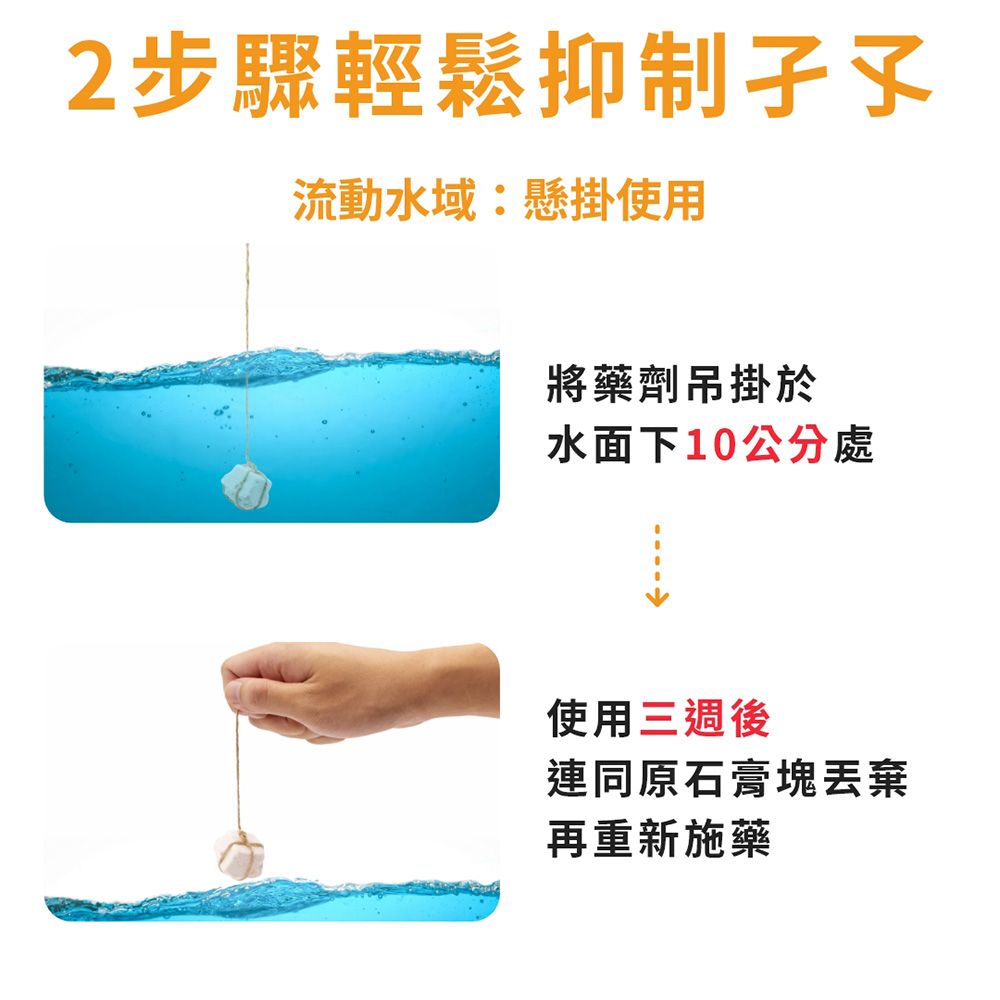 福來朗 滅蚊片劑 10gx15pcs 蚊子幼蟲殺手/孑孓剋星/防治病媒蚊