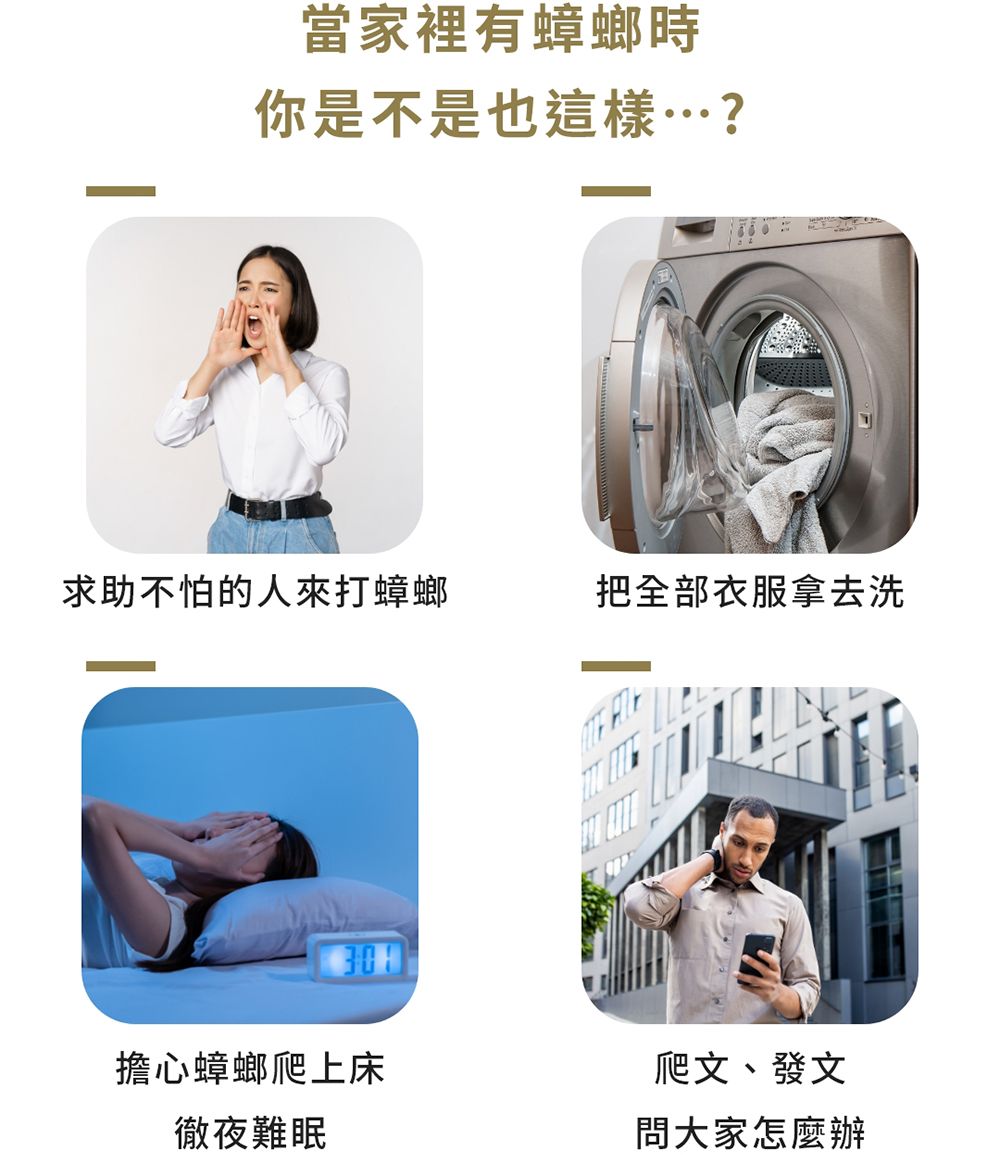 當家裡有蟑螂時你是不是也這樣…?求助不怕的人來打蟑螂把全部衣服拿去洗擔心蟑螂爬上床爬文、發文徹夜難眠問大家怎麼辦