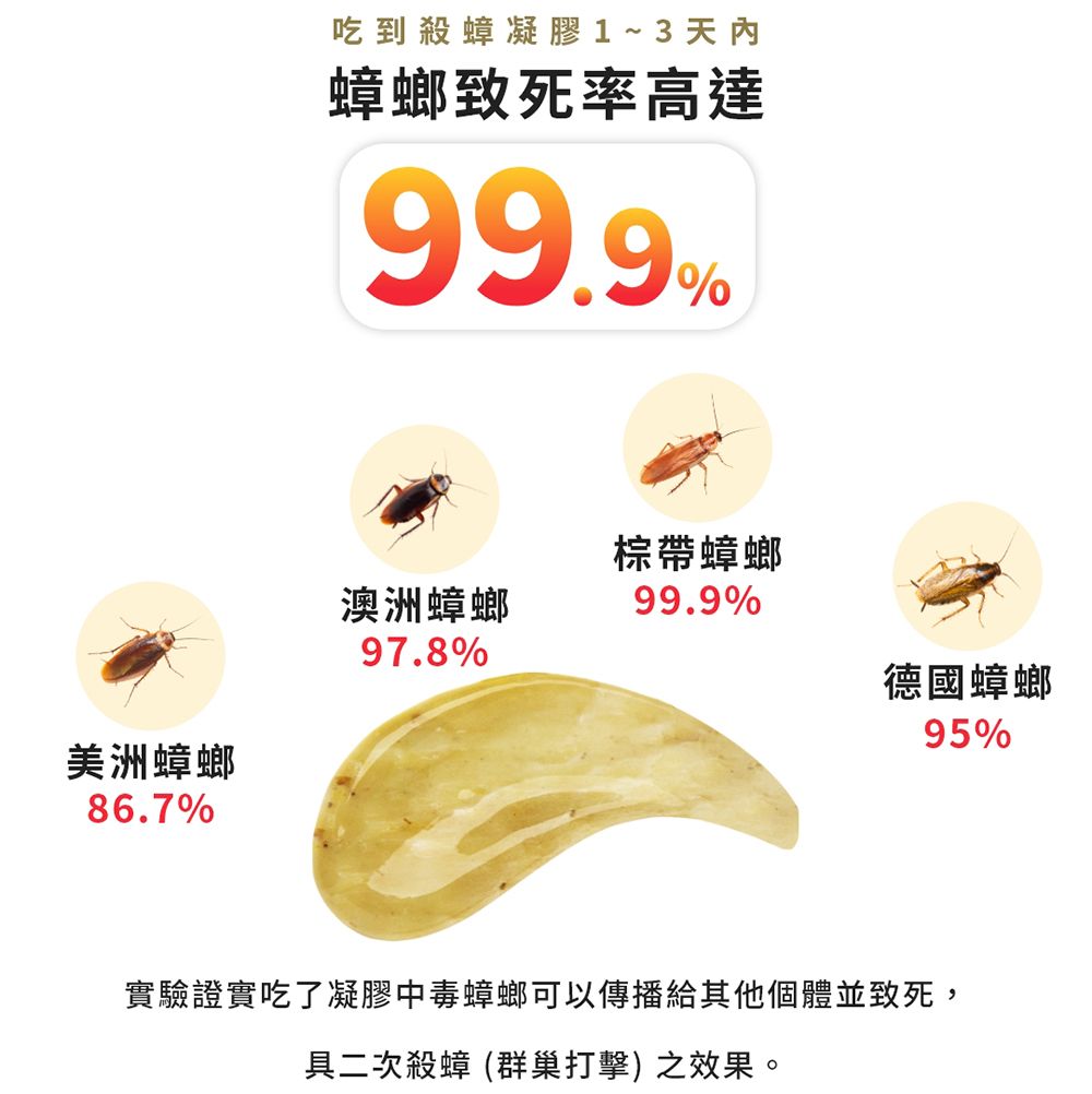 吃到殺蟑凝膠3天內蟑螂致死率高達99.9%棕帶蟑螂澳洲蟑螂99.9%97.8%德國蟑螂95%美洲蟑螂86.7%實驗證實吃了凝膠中毒蟑螂可以傳播給其他個體並致死,具二次殺蟑 (群巢打擊)之效果。