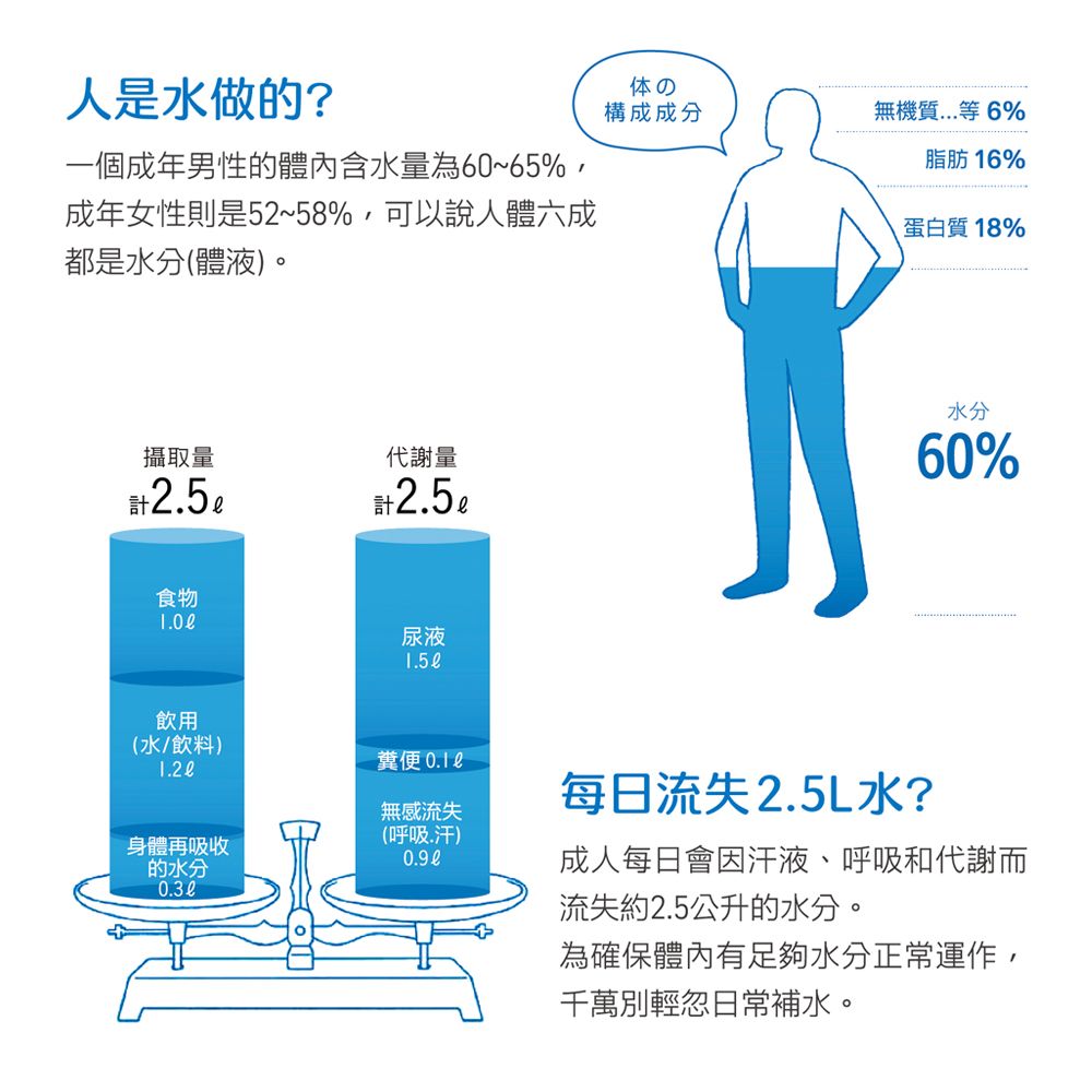 人是水做的?一個成年男性的體內含水量為6~65%成年女性則是52~58%,可以說人體六成都是水分(體液)。攝取量代謝量食物尿液15 0飲用(水/飲料) 無感流失(呼吸.汗)身體再吸收的水分体の構成成分無機質等6%脂肪 16%蛋白質18%水分60%每日流失2.5L水?成人每日會因汗液、呼吸和代謝而流失約2.5公升的水分。為確保體內有足夠水分正常運作,千萬別輕忽日常補水。