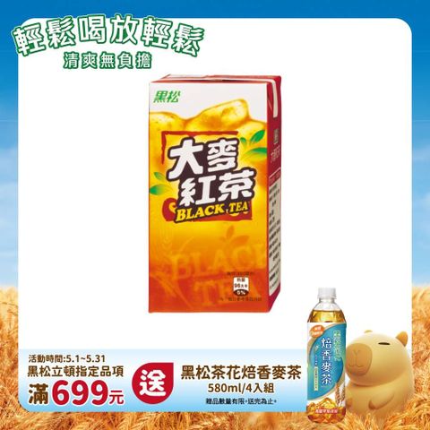 HeySong 黑松 大麥紅茶300ml (24入/箱)