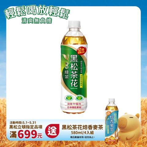 HeySong 黑松 茶花綠茶580ml(24入X2箱)