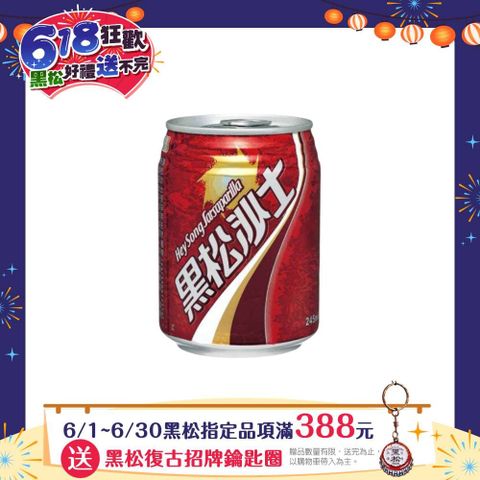 黑松沙士245ml (24入X2箱)