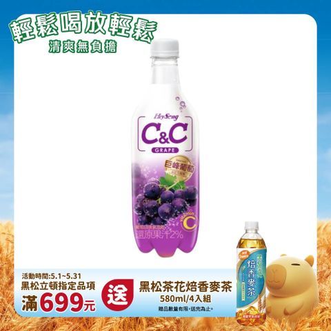 HeySong 黑松 汽水C&C氣泡飲料-葡萄口味 500ml(24入/箱)