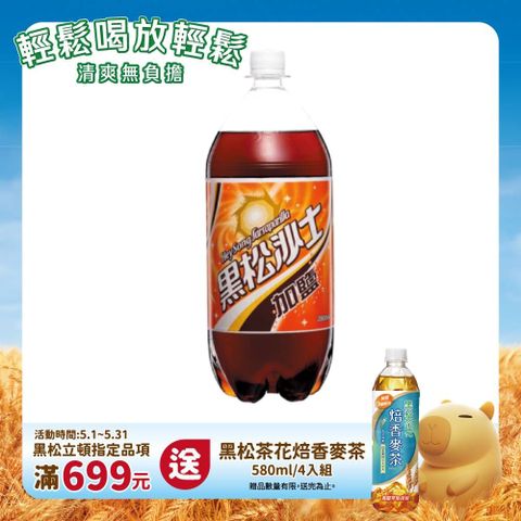 HeySong 黑松 加鹽沙士2000ml (6入/箱)