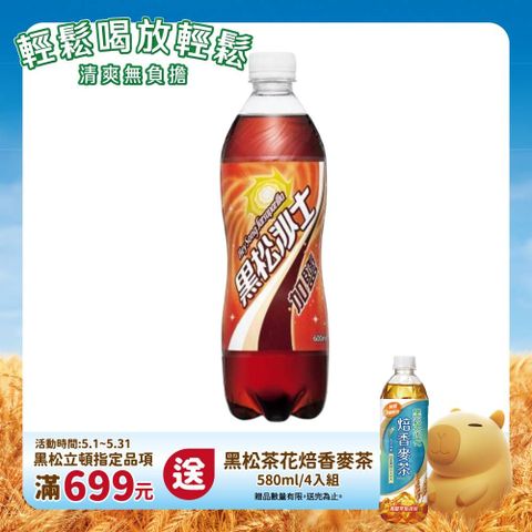 HeySong 黑松 加鹽沙士600ml (24入/箱)