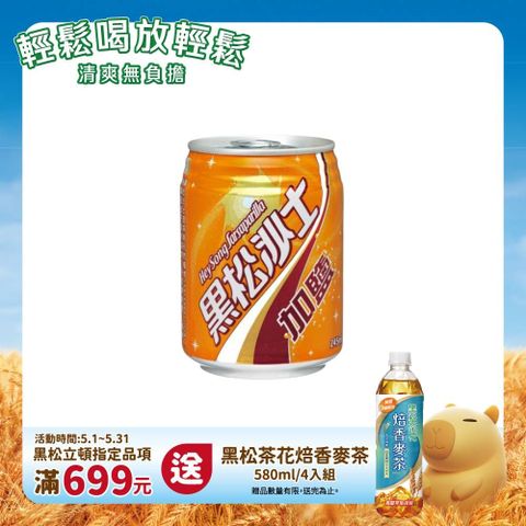 HeySong 黑松 加鹽沙士245ml (24入/箱)