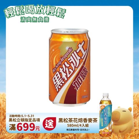 HeySong 黑松 加鹽沙士330ml (24入/箱)