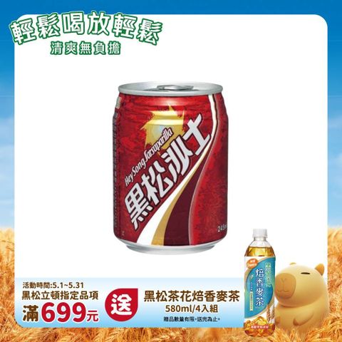 HeySong 黑松 沙士245ml (24入/箱)
