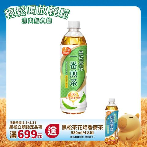 HeySong 黑松 茶花一番煎茶 580ml (24入/箱)