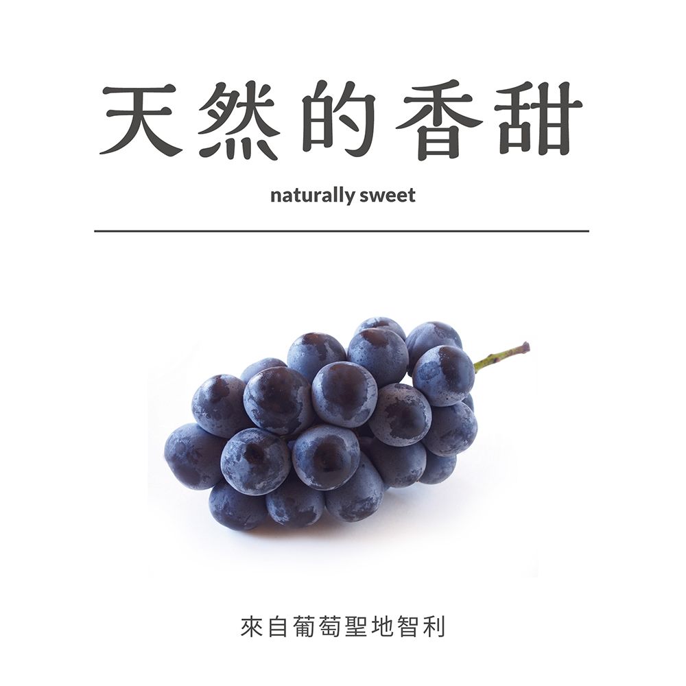 台灣美食全記錄 元氣葡萄乾400g/罐