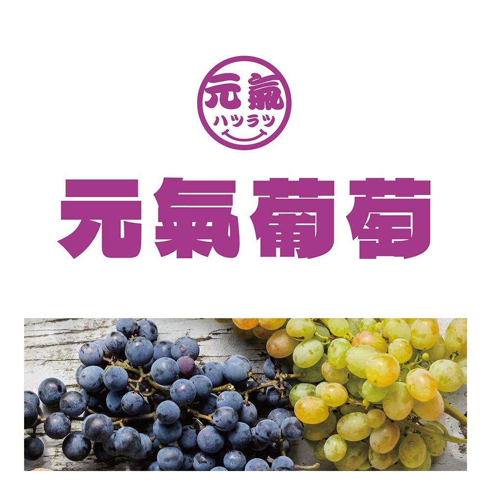 台灣美食全記錄 元氣葡萄乾400g/罐