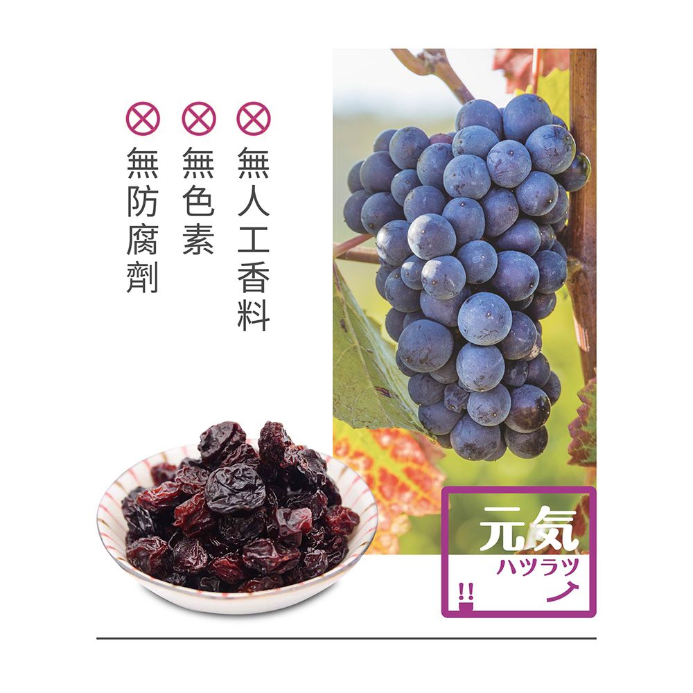 台灣美食全記錄 元氣葡萄乾400g/罐