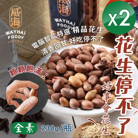 WAY 【 Hai】正宗雲林北港 經典原味花生(全素/230g/瓶)x2瓶