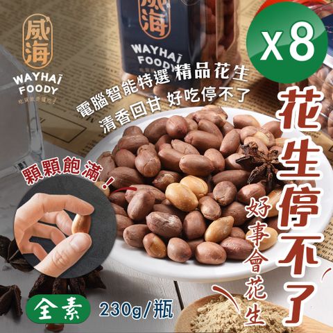 WAY 【 Hai】正宗雲林北港 經典原味花生(全素/230g/瓶)x8瓶