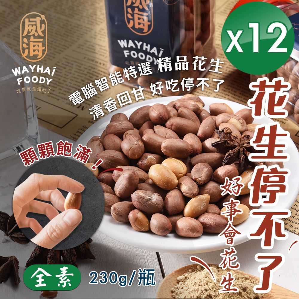 WAY 【 Hai】正宗雲林北港 經典原味花生(全素/230g/瓶)x12瓶