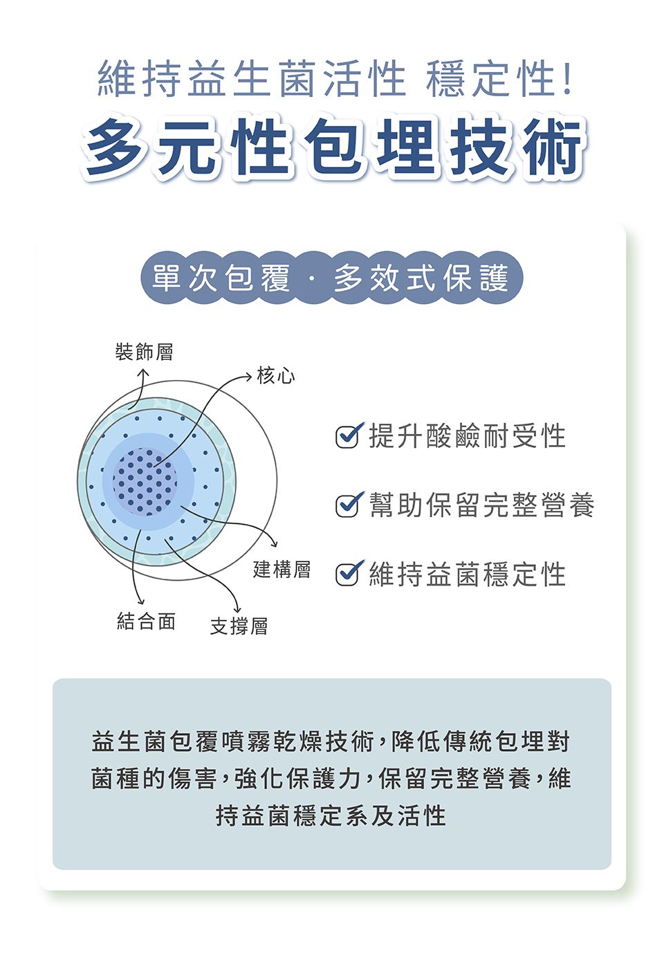 維持益生菌活性 穩定性!多元性包埋技術單次包覆·多效式保護裝飾層核心提升酸鹼耐受性 幫助保留完整營養建構  維持益菌穩定性結合面支撐層益生菌包覆噴霧乾燥技術,降低傳統包埋對菌種的傷害,強化保護力,保留完整營養,維持益菌穩定系及活性