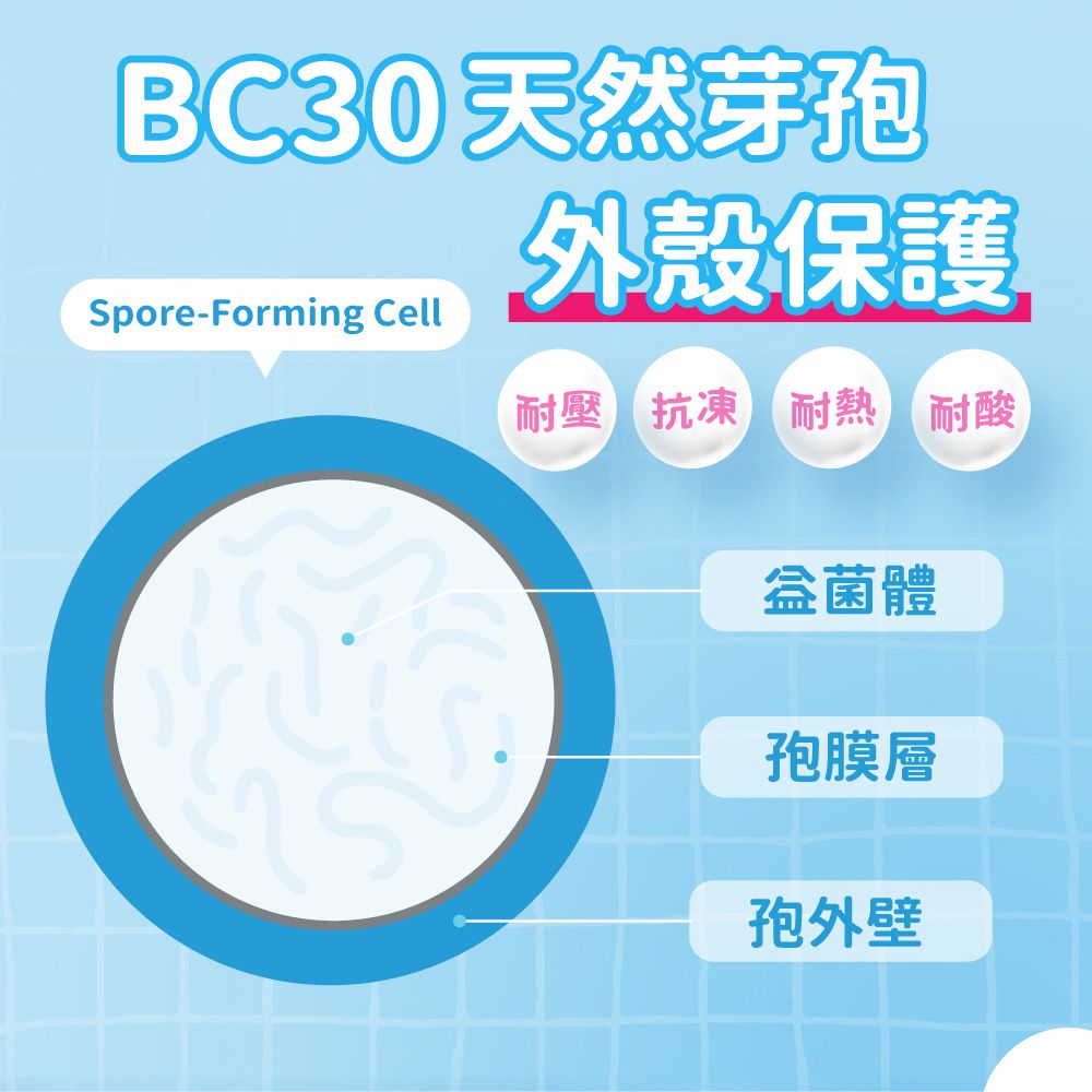 達摩本草 專利益菌軟糖(優格口味)x6包 (10顆/包)《機能軟糖元氣應援》