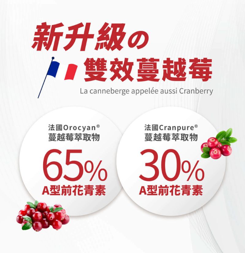 新升級の雙效蔓越莓La canneberge appelée aussi Cranberry法國Orocyan®法國Cranpure ®蔓越莓萃取物蔓越莓萃取物65% 30%A型前花青素A型前花青素