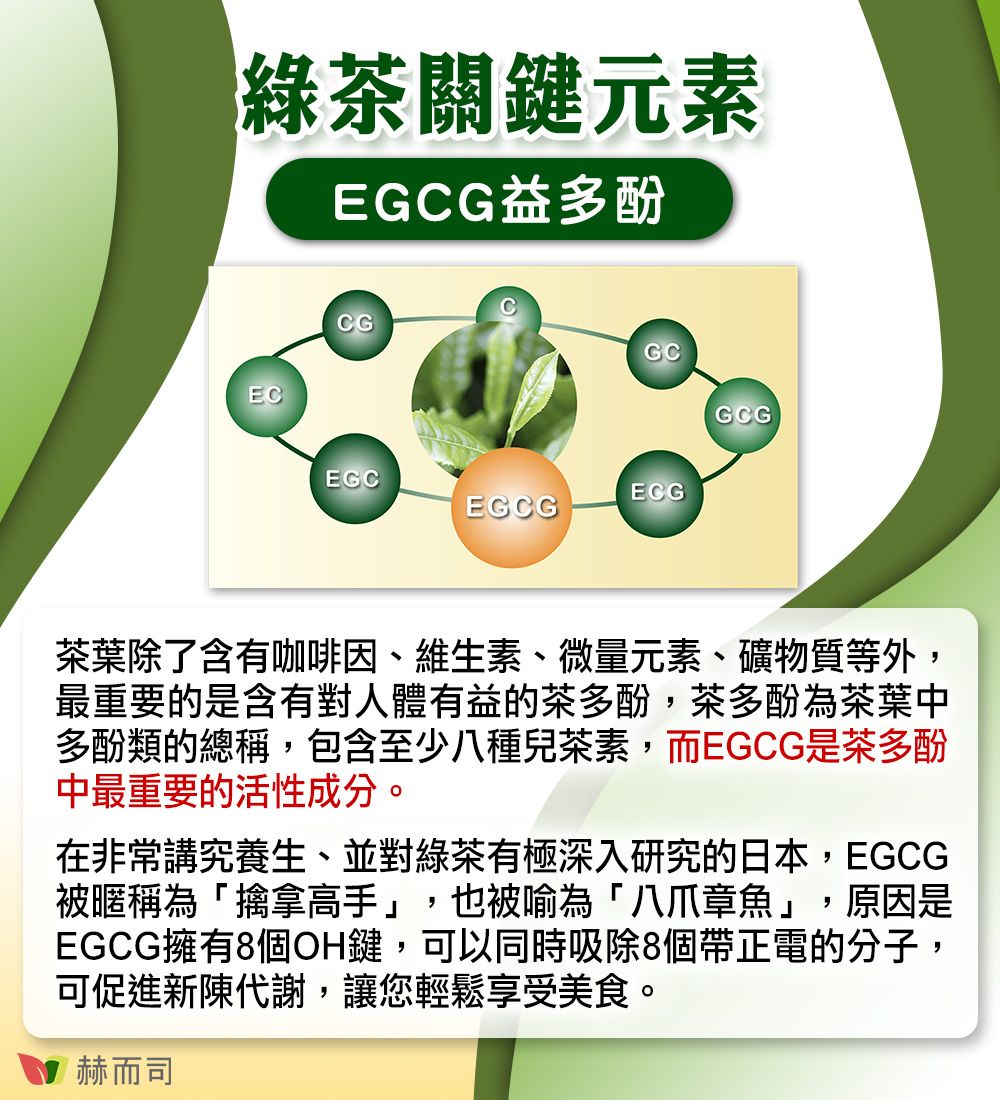 綠茶關鍵元素EGCG益多酚ECGCGCGEGCECGEGCG茶葉除了含有咖啡因、維生素、微量元素、礦物質等外最重要的是含有對人體有益的茶多酚,茶多酚為茶葉中多酚類的總稱,包含至少八種兒茶素,而EGCG是茶多酚中最重要的活性成分。在非常講究養生,並對綠茶有極深入研究的日本,EGCG被暱稱為「擒拿高手」,也被喻為「八爪章魚」,原因是EGCG擁有8個OH鍵,可以同時吸除8個帶正電的分子,可促進新陳代謝,讓您輕鬆享受美食。赫而司