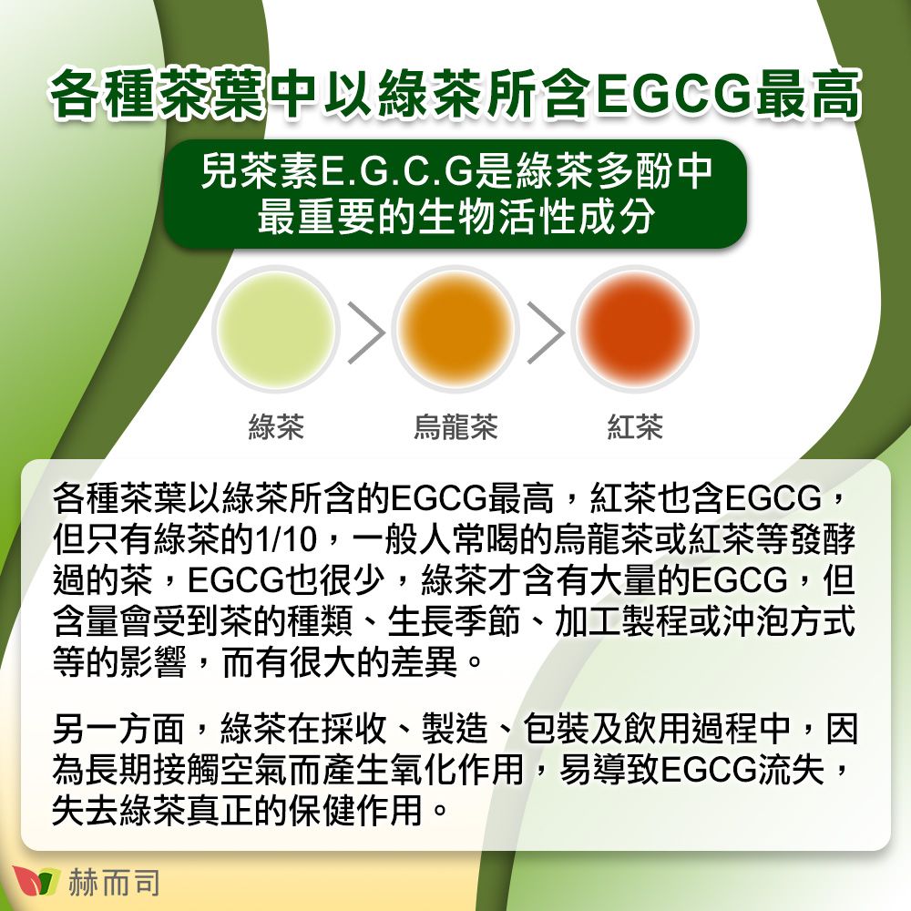 各種茶葉中以綠茶所含EGCG最高兒茶素E.G.C.G是綠茶多酚中最重要的生物活性成分綠茶烏龍茶紅茶各種茶葉以綠茶所含的EGCG最高,紅茶也含EGCG,但只有綠茶的1/10,一般人常喝的烏龍茶或紅茶等發酵過的茶,EGCG也很少,綠茶才含有大量的EGCG,但含量會受到茶的種類、生長季節、加工製程或沖泡方式等的影響,而有很大的差異。另一方面,綠茶在採收、製造、包裝及飲用過程中,因為長期接觸空氣而產生氧化作用,易導致EGCG流失,失去綠茶真正的保健作用。赫而司