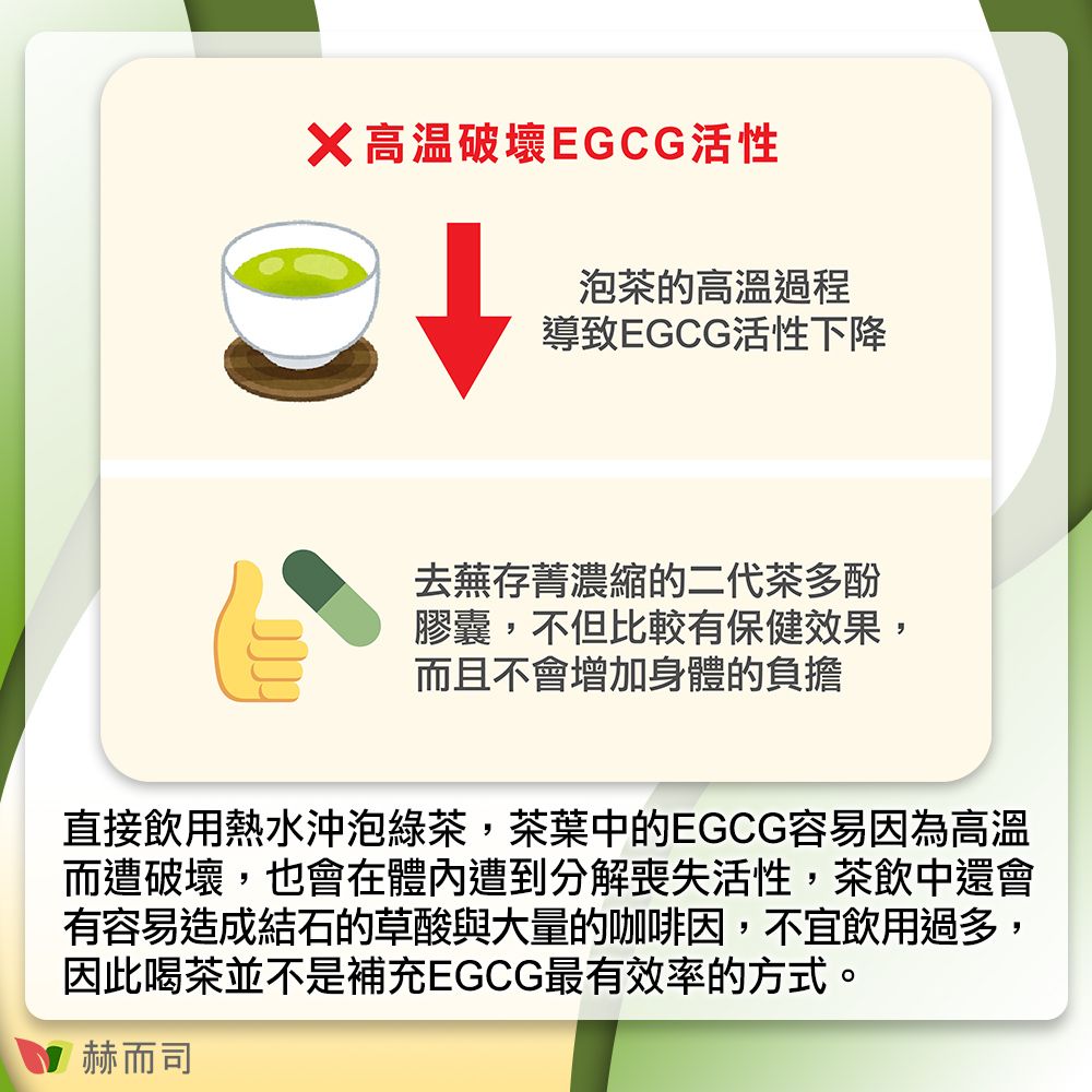 高温破壞EGCG活性泡茶的高溫過程導致EGCG活性下降去蕪存菁濃縮的二代茶多酚膠囊,不但比較有保健效果,而且不會增加身體的負擔直接飲用熱水沖泡綠茶,茶葉中的EGCG容易因為高溫而遭破壞,也會在體內遭到分解喪失活性,茶飲中還會有容易造成結石的草酸與大量的咖啡因,不宜飲用過多,因此喝茶並不是補充EGCG最有效率的方式。赫而司