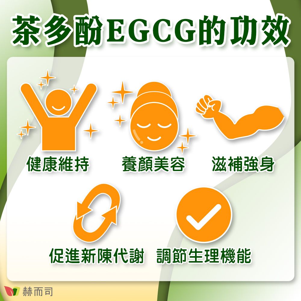 赫而司 FASLIM-EGCG二代茶多酚膠囊(30顆*2罐)含兒茶素EGCG益多酚+甲殼素+決明子+荷葉粉